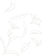 Sağ Alt Logo