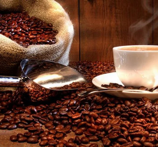 Filtre Kahve Sağlık için Mucizevi İçecek mi?